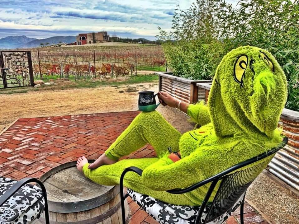 Finca Vidandrei Casa Mazahua Valle de Guadalupe Dış mekan fotoğraf