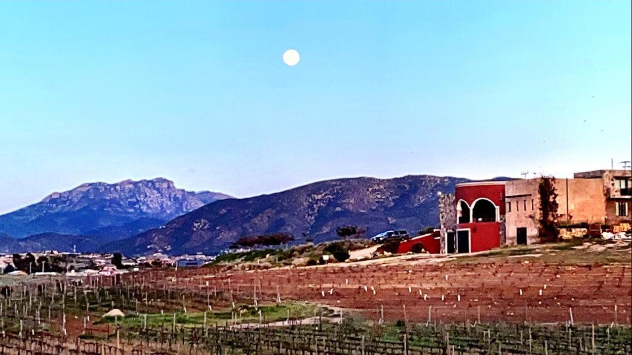 Finca Vidandrei Casa Mazahua Valle de Guadalupe Dış mekan fotoğraf