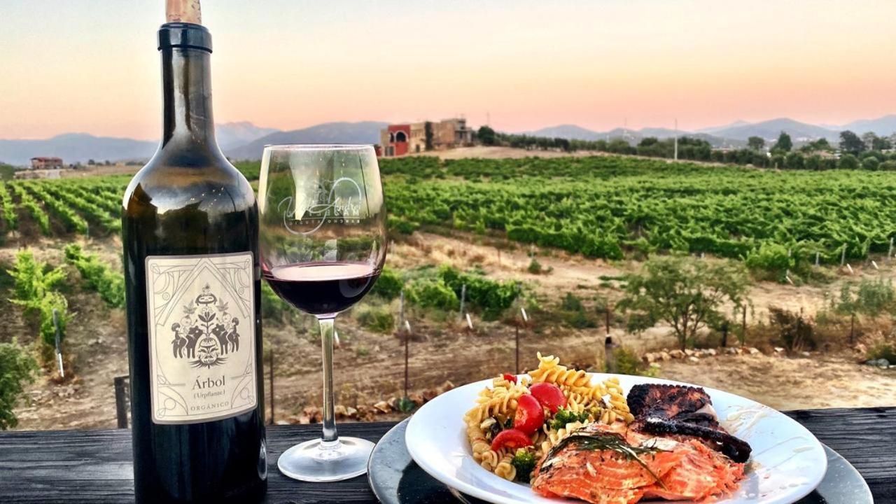 Finca Vidandrei Casa Mazahua Valle de Guadalupe Dış mekan fotoğraf