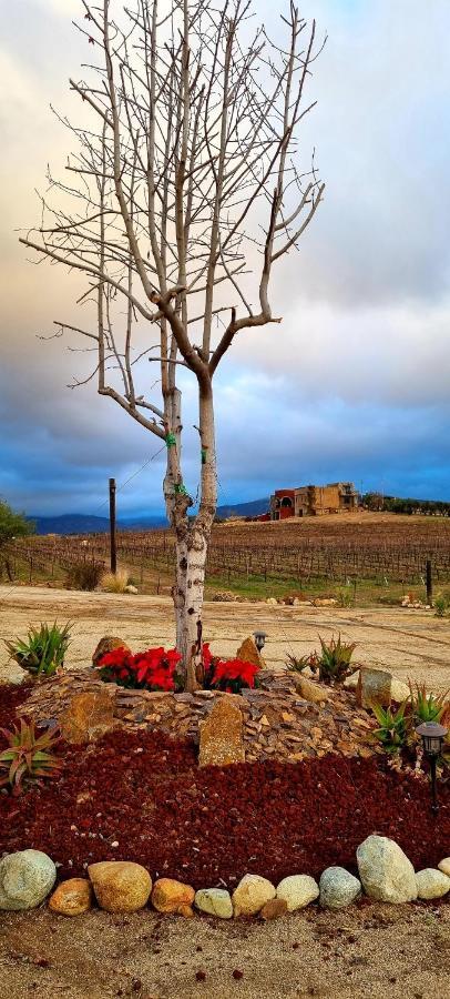 Finca Vidandrei Casa Mazahua Valle de Guadalupe Dış mekan fotoğraf