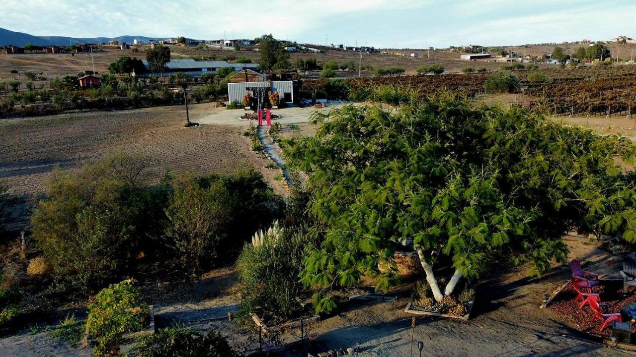 Finca Vidandrei Casa Mazahua Valle de Guadalupe Dış mekan fotoğraf