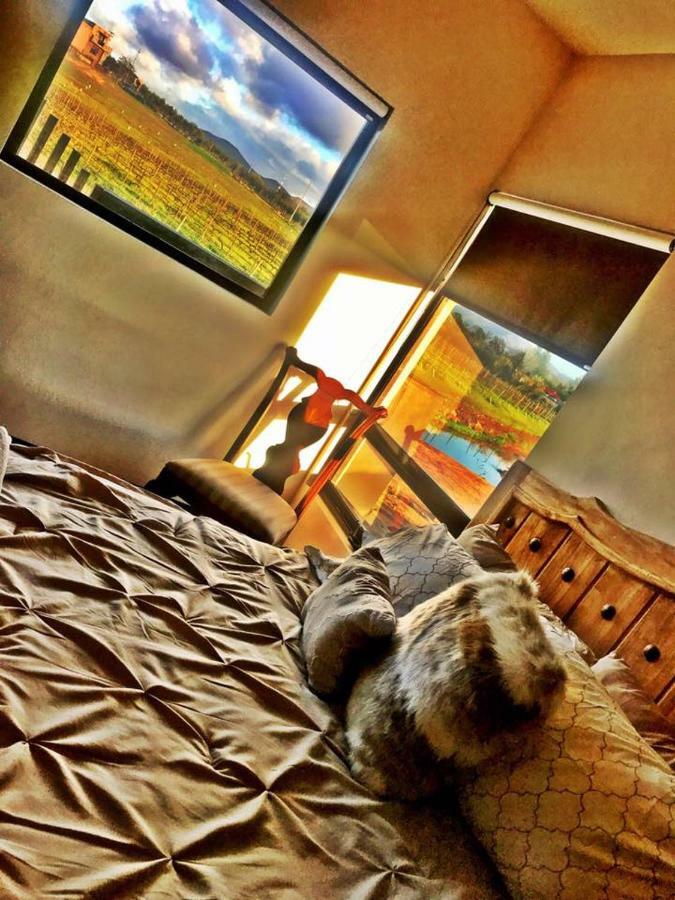 Finca Vidandrei Casa Mazahua Valle de Guadalupe Dış mekan fotoğraf