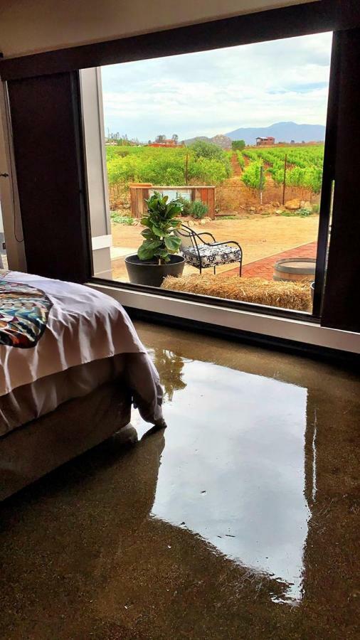 Finca Vidandrei Casa Mazahua Valle de Guadalupe Dış mekan fotoğraf